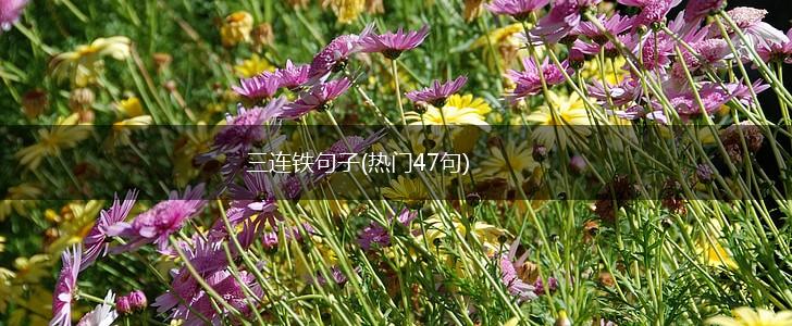 三连铁句子(热门47句),第1张