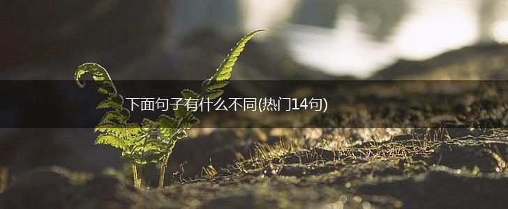 下面句子有什么不同(热门14句),第1张