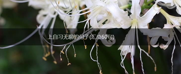 上自习无聊的句子(汇总60句),第1张