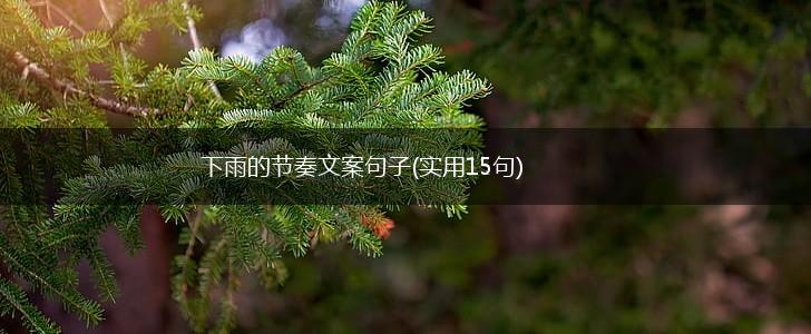 下雨的节奏文案句子(实用15句),第1张