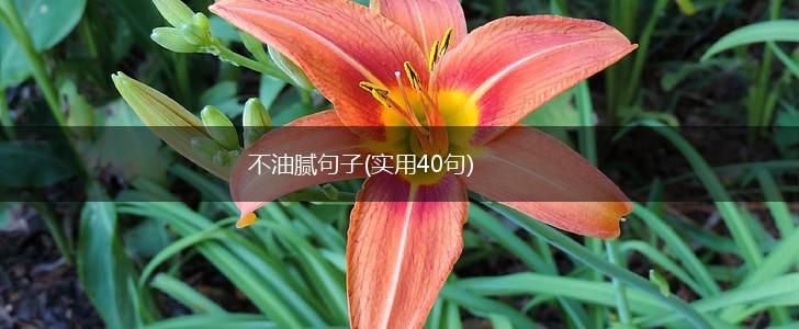 不油腻句子(实用40句),第1张