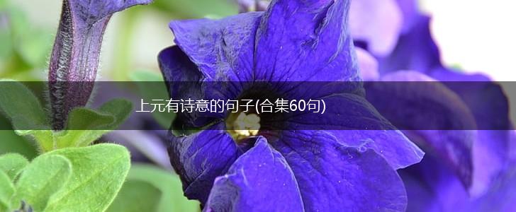 上元有诗意的句子(合集60句),第1张