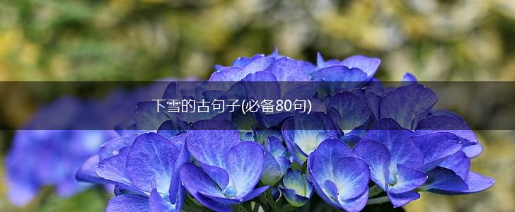 下雪的古句子(必备80句),第1张