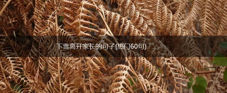 下雪离开家长的句子(热门60句),第1张