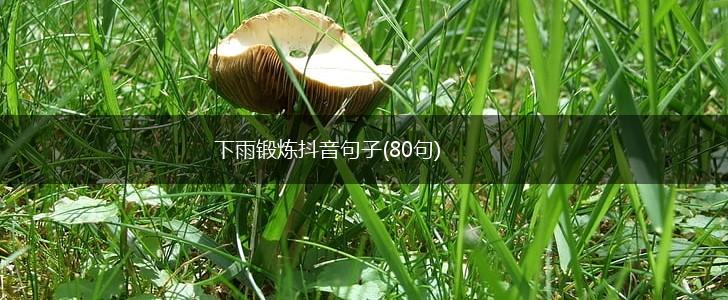 下雨锻炼抖音句子(80句),第1张