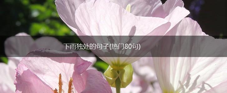 下雨独处的句子(热门80句),第1张