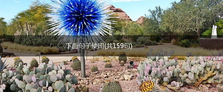 下面句子使用(共159句),第1张
