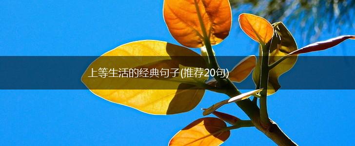 上等生活的经典句子(推荐20句),第1张
