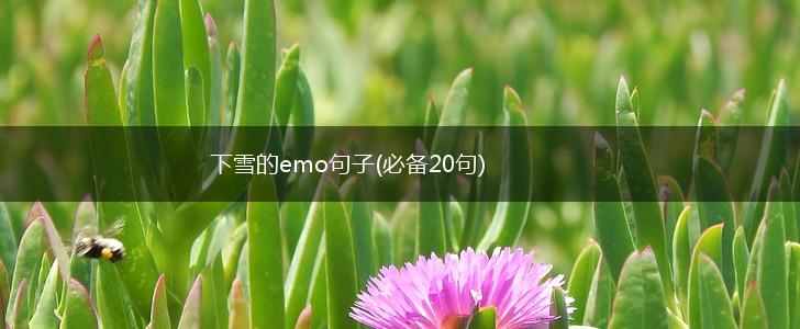 下雪的emo句子(必备20句),第1张
