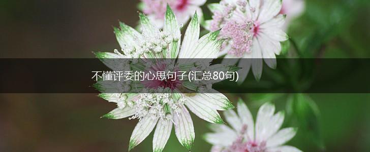 不懂评委的心思句子(汇总80句),第1张