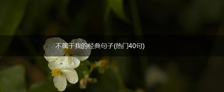 不属于我的经典句子(热门40句),第1张