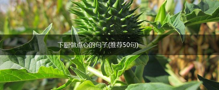 下厨做点心的句子(推荐50句),第1张