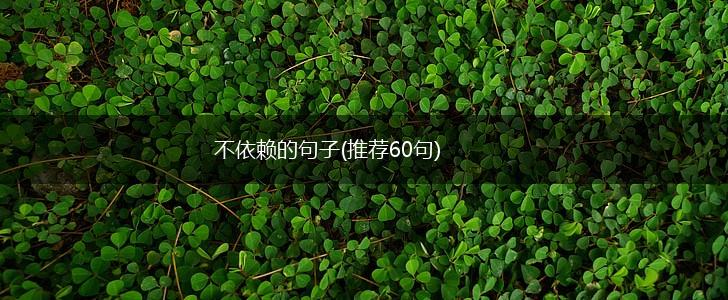 不依赖的句子(推荐60句),第1张