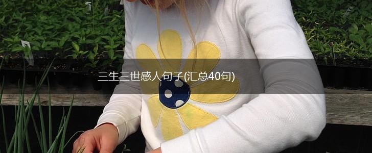 三生三世感人句子(汇总40句),第1张
