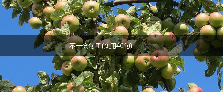 不一会句子(实用40句),第1张