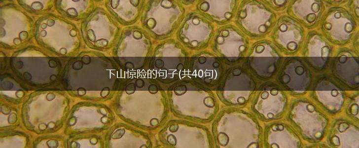 下山惊险的句子(共40句),第1张