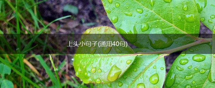 上头小句子(通用40句),第1张