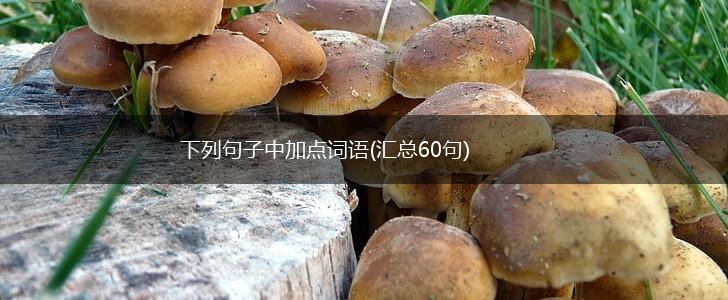 下列句子中加点词语(汇总60句),第1张