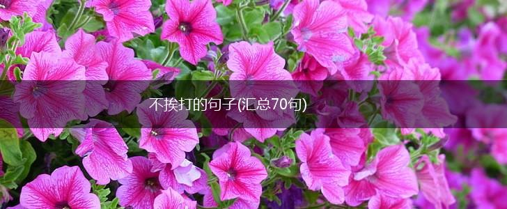 不挨打的句子(汇总70句),第1张