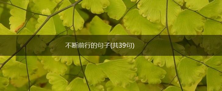 不断前行的句子(共39句),第1张