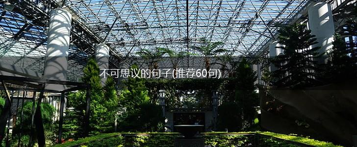 不可思议的句子(推荐60句),第1张