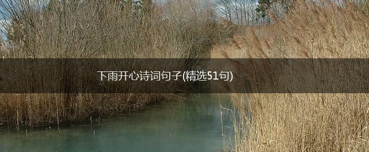 下雨开心诗词句子(精选51句),第1张