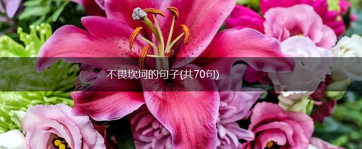 不畏坎坷的句子(共70句),第1张