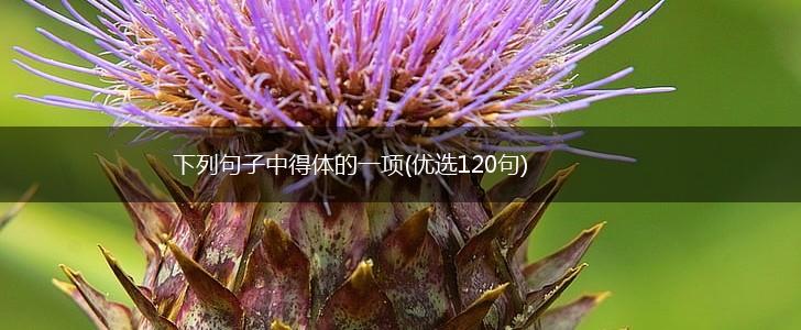 下列句子中得体的一项(优选120句),第1张