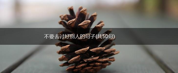 不要去讨好别人的句子(共50句),第1张