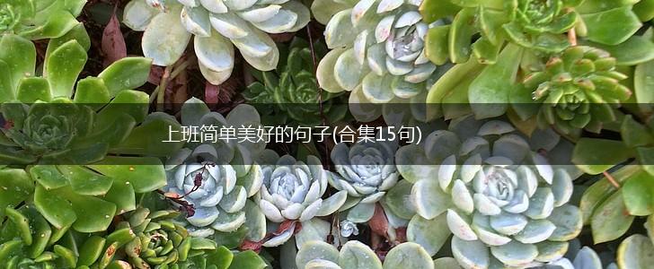 上班简单美好的句子(合集15句),第1张
