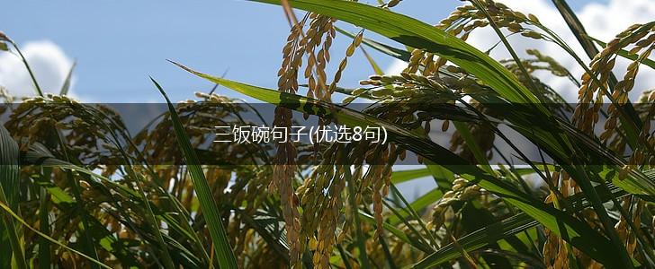 三饭碗句子(优选8句),第1张