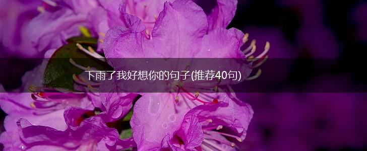 下雨了我好想你的句子(推荐40句),第1张