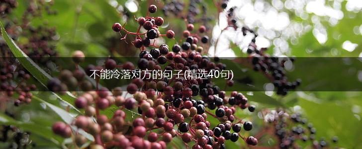 不能冷落对方的句子(精选40句),第1张