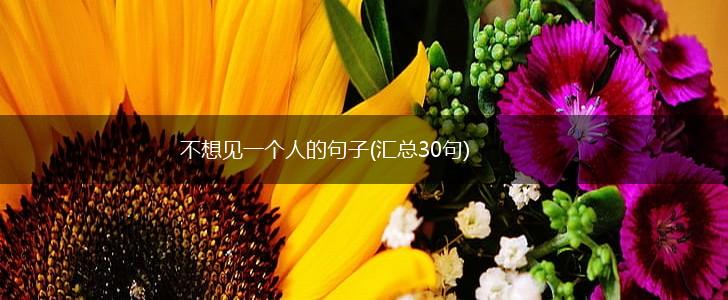 不想见一个人的句子(汇总30句),第1张