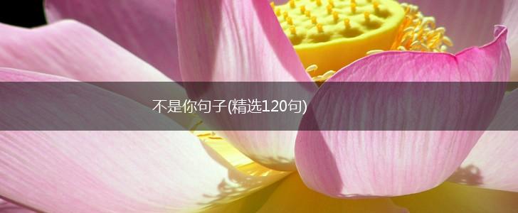 不是你句子(精选120句),第1张
