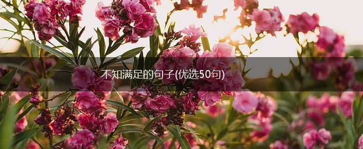 不知满足的句子(优选50句),第1张