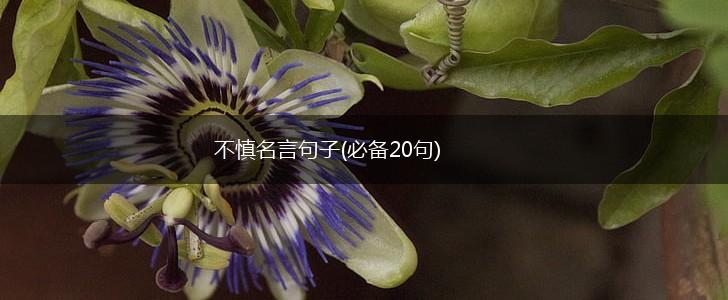不慎名言句子(必备20句),第1张