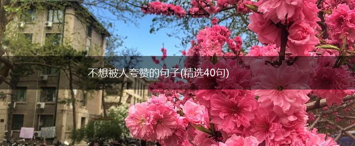 不想被人夸赞的句子(精选40句),第1张
