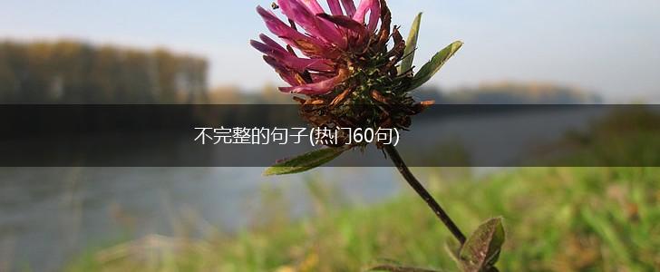 不完整的句子(热门60句),第1张