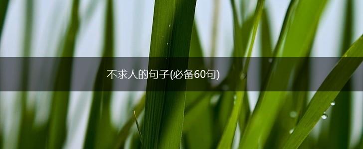 不求人的句子(必备60句),第1张