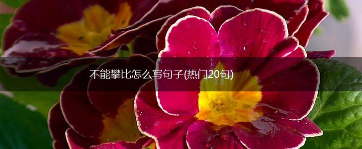 不能攀比怎么写句子(热门20句),第1张
