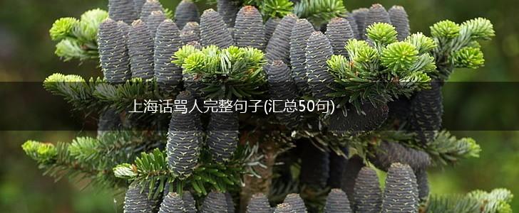 上海话骂人完整句子(汇总50句),第1张