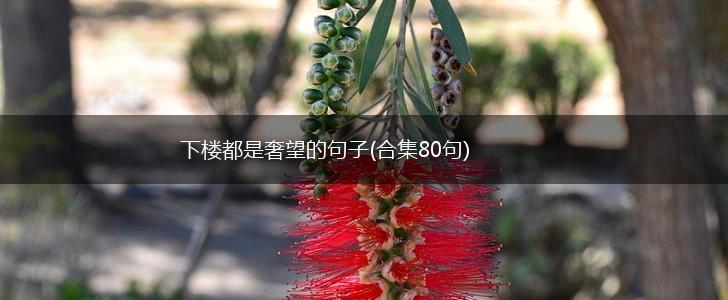 下楼都是奢望的句子(合集80句),第1张