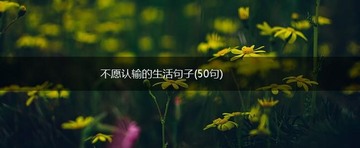不愿认输的生活句子(50句),第1张