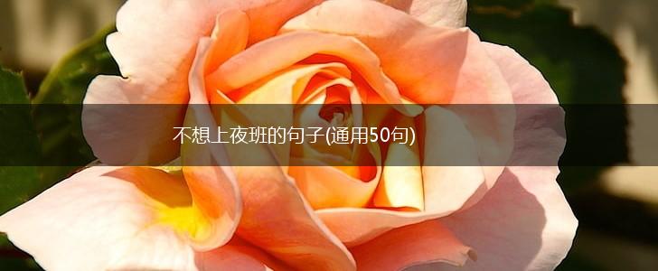 不想上夜班的句子(通用50句),第1张