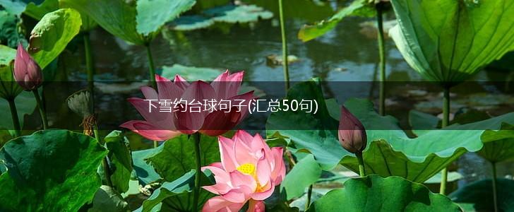 下雪约台球句子(汇总50句),第1张