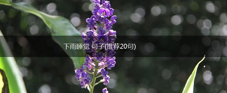 下雨睡觉 句子(推荐20句),第1张