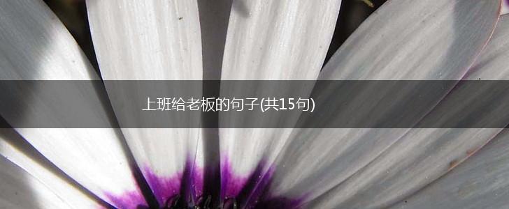 上班给老板的句子(共15句),第1张