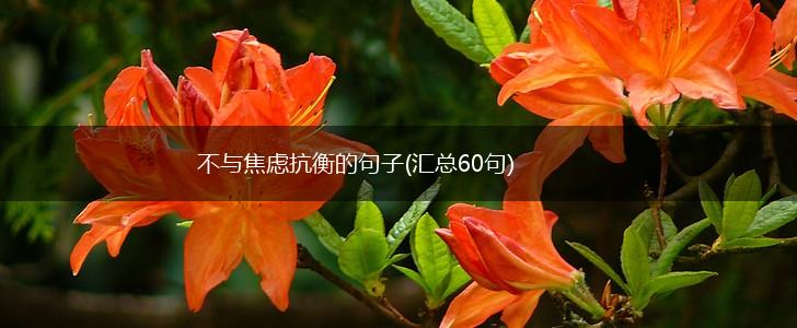 不与焦虑抗衡的句子(汇总60句),第1张