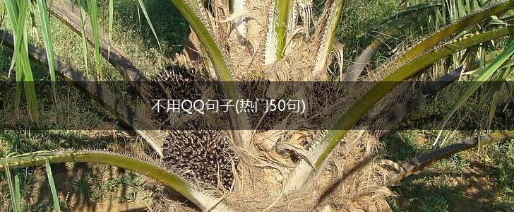 不用QQ句子(热门50句),第1张
